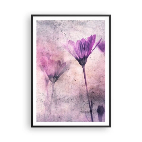 Plagát v čiernom ráme - Sen kvetov - 70x100 cm