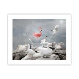 Plagát - Kde som sa tu vzal? - 50x40 cm