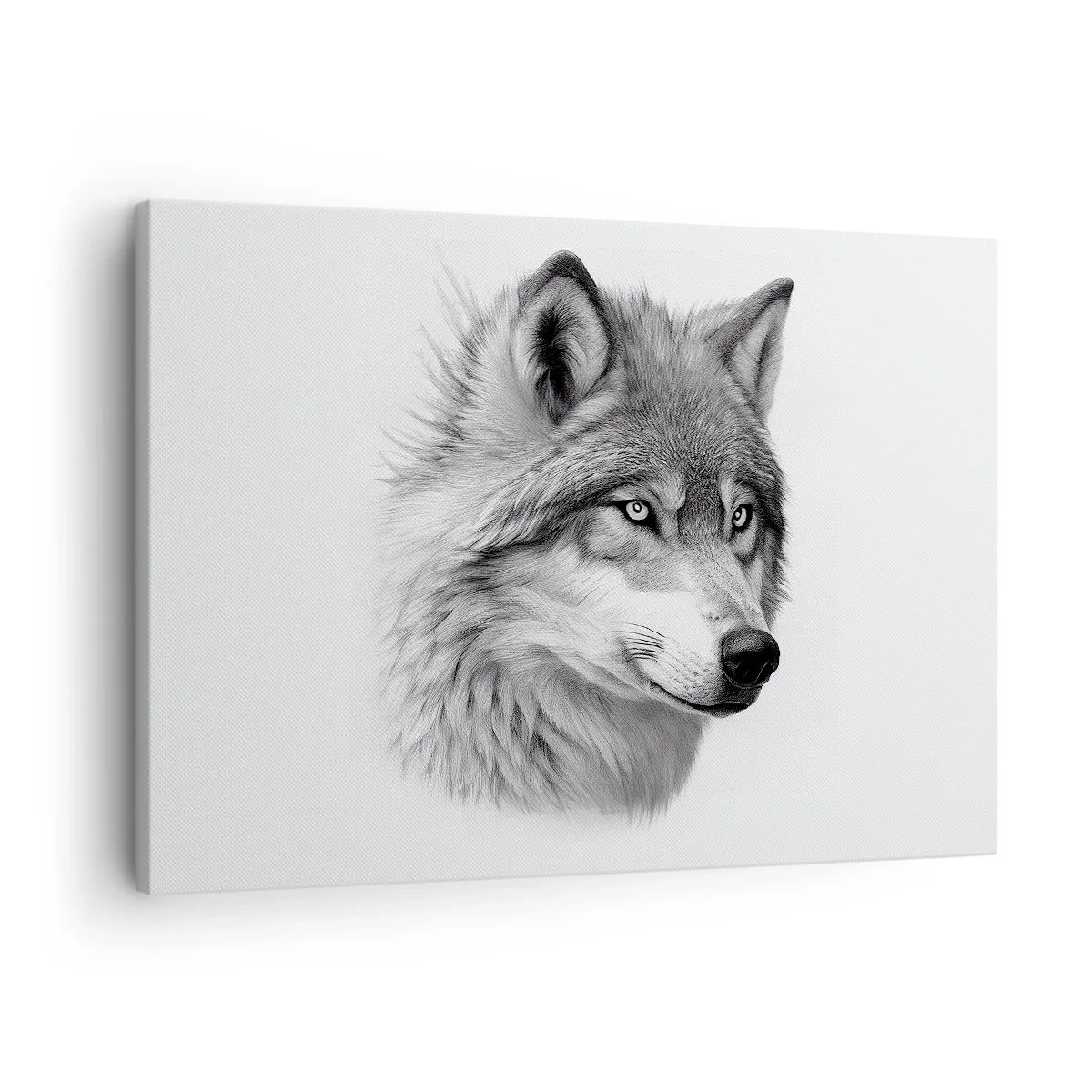 Obraz na plátne - Realistický portrét vlka v odtieňoch sivej. - 70x50cm - Alfa – bezpochyby - Moderná nástenná dekorácia do obývacej izby a spálne ARTTOR