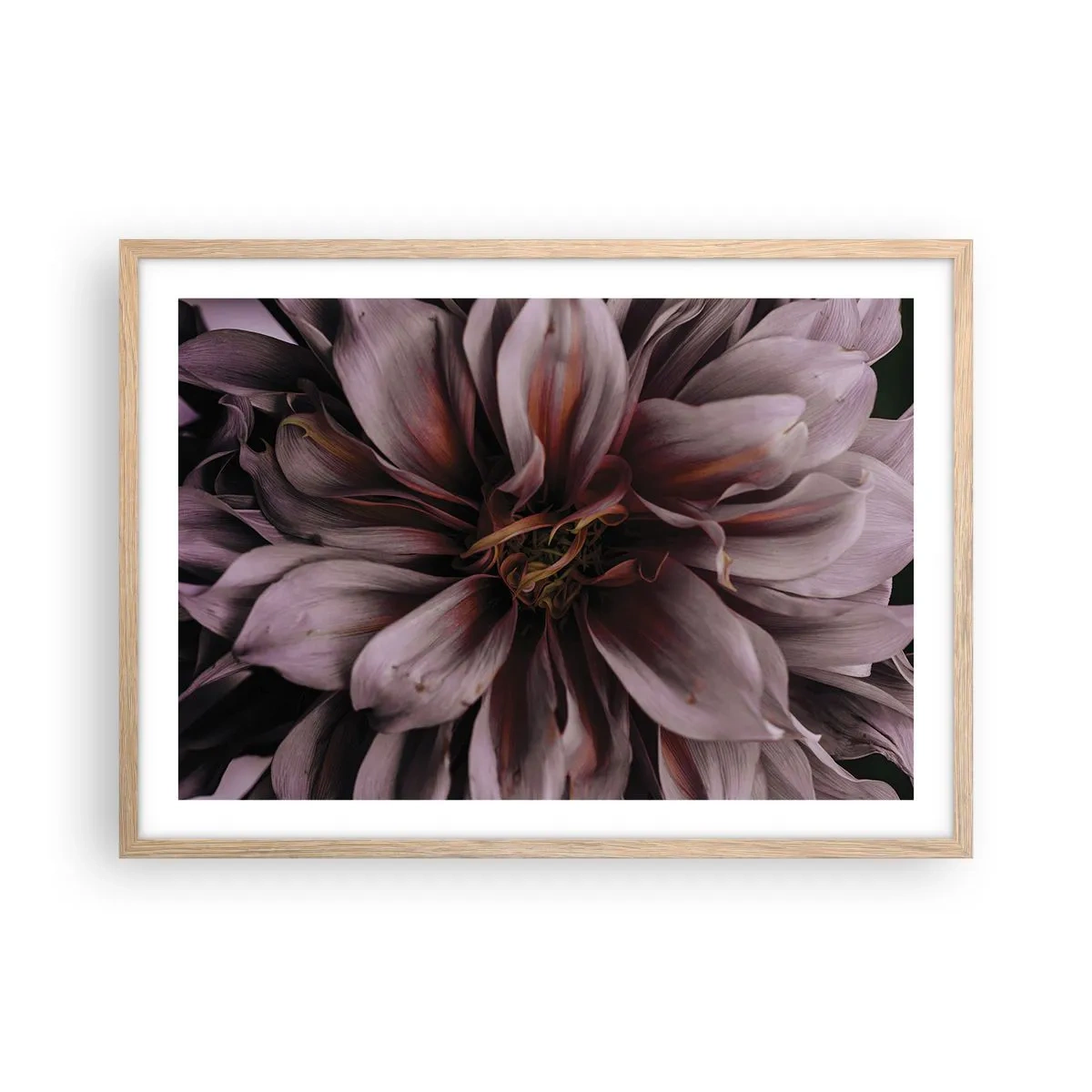 Plagát v ráme zo svetlého duba - Kvetinové srdce - 70x50 cm