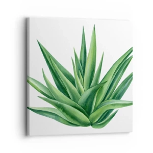 Obraz na plátne - Zelená – sila – život - 30x30 cm