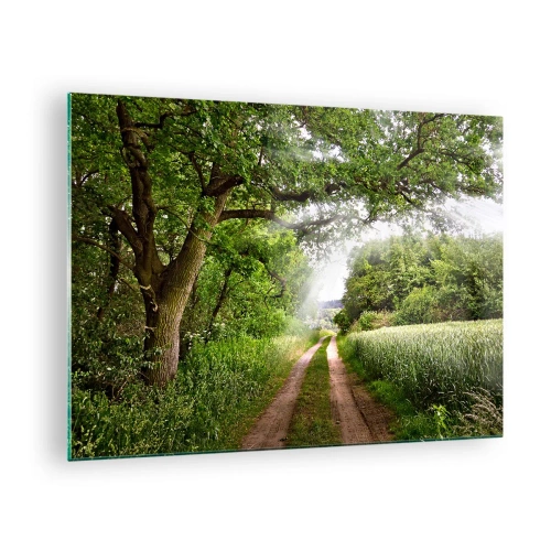 Obraz na skle - Lesná cesta obklopená zeleňou v lúčoch slnka - 70x50cm - Et in Arcadia ego - Moderná nástenná dekorácia do obývacej izby a spálne ARTTOR