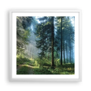 Plagát v bielom ráme - Žiariaci za úsvitu - 50x50 cm