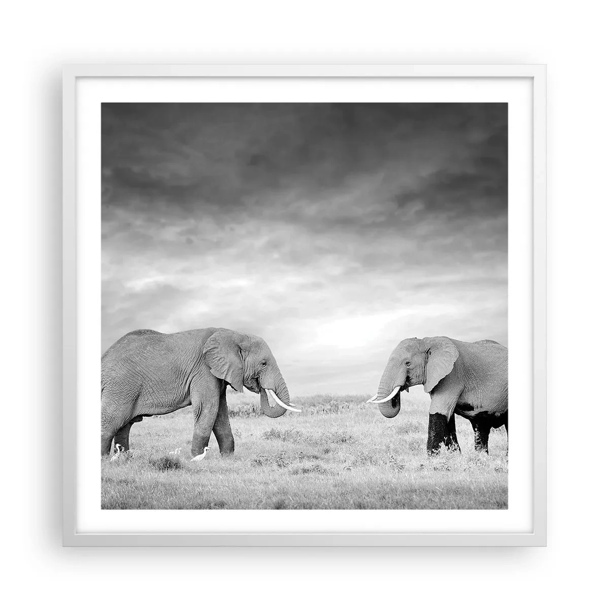 Plagát v bielom ráme - Šedá je krásna - 60x60 cm