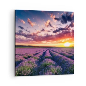 Obraz na plátne - Levanduľový svet - 60x60 cm