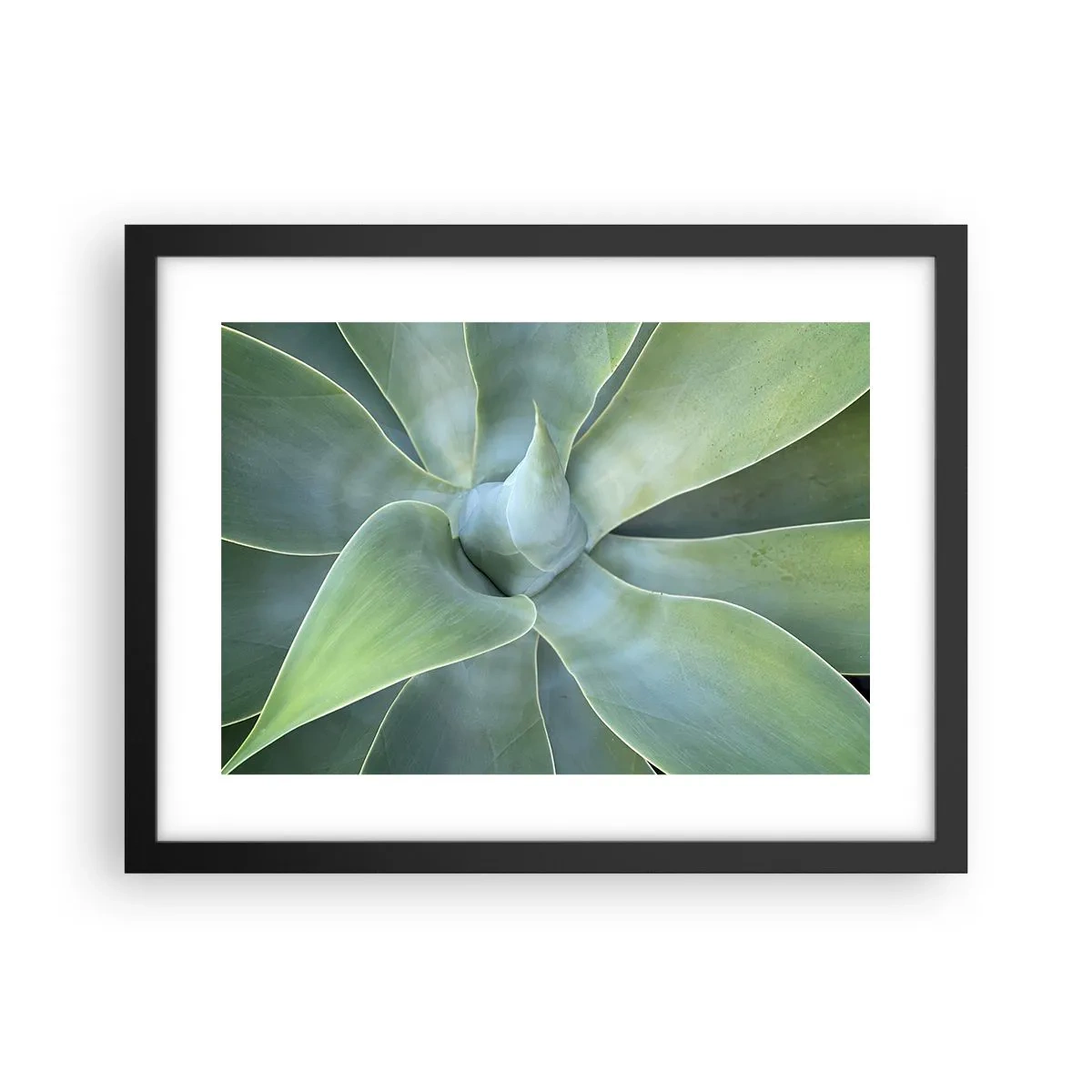 Plagát v čiernom ráme - Zrodenie zelene - 40x30 cm