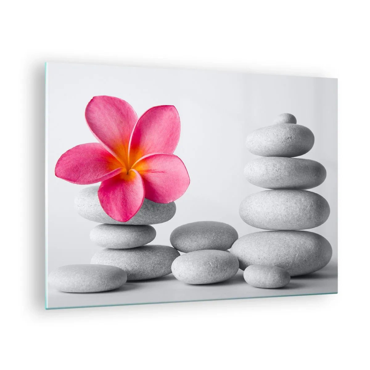 Obraz na skle - Ružový kvet na pozadí kopy bielych kameňov - 70x50cm - Kameň na kameni, a na tom kameni… - Moderná nástenná dekorácia do obývacej izby a spálne ARTTOR