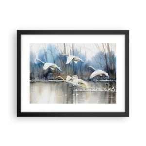 Plagát v čiernom ráme - Ako v poviedke o divokých labutiach - 40x30 cm