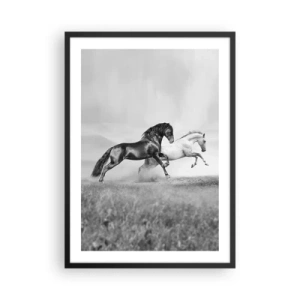 Plagát v čiernom ráme - Čierne a biele kone cválajú dynamicky na pozadí poľa - 50x70cm - Anjeli a démoni - Moderná nástenná dekorácia do obývacej izby a spálne ARTTOR