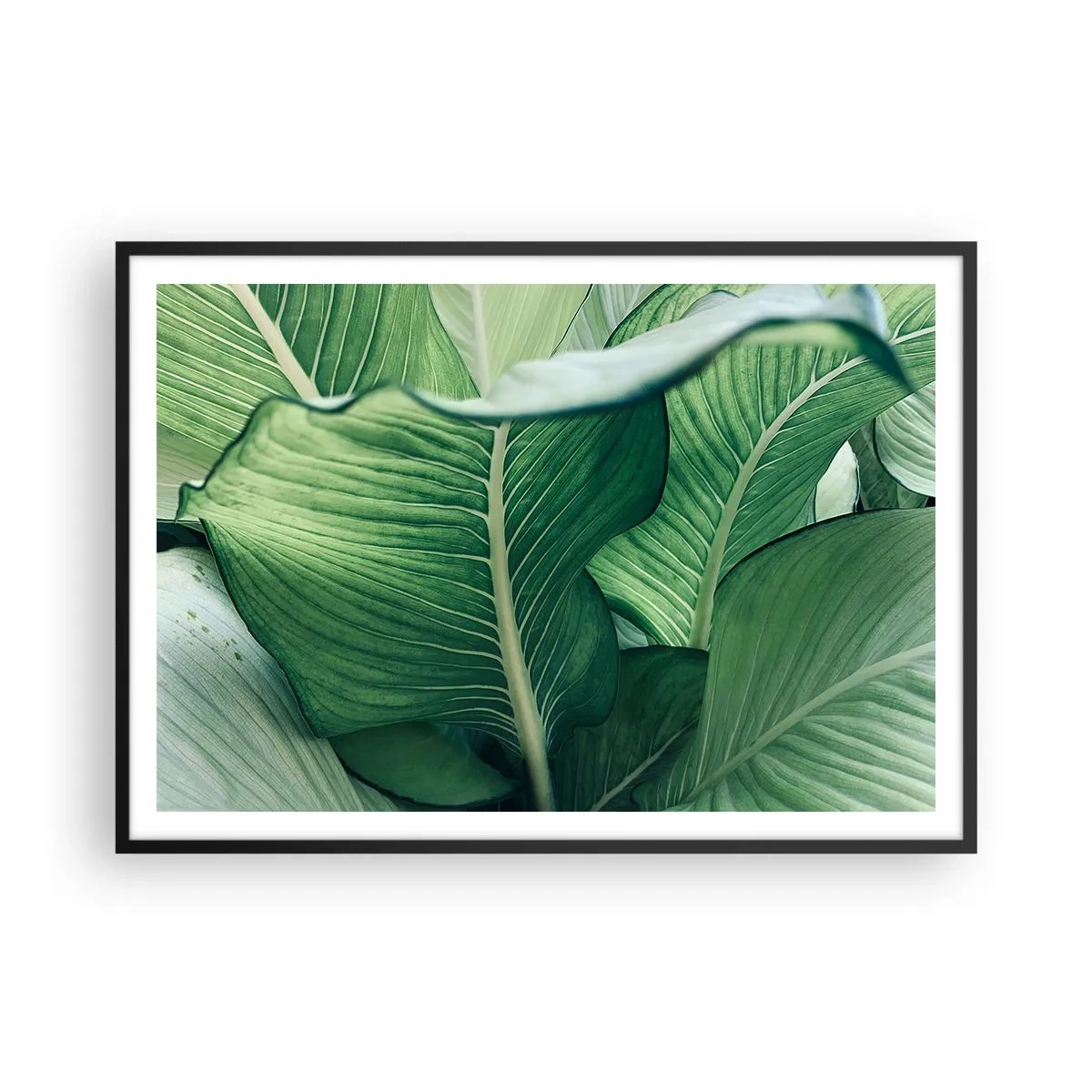 Plagát v čiernom ráme - Intenzívne zelený život - 100x70 cm