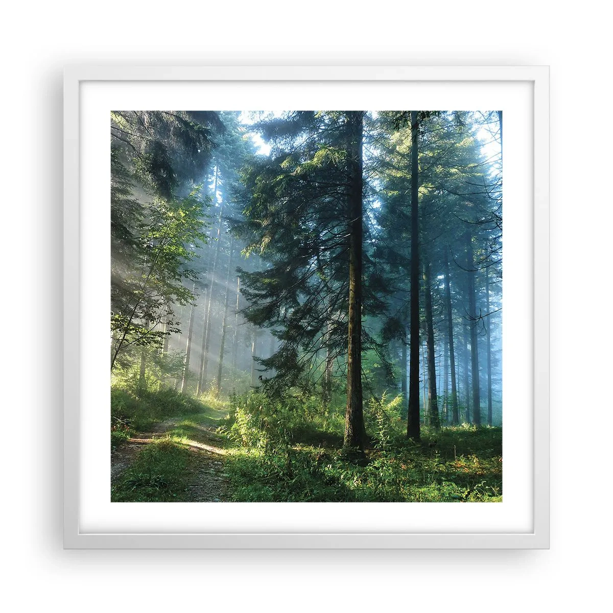 Plagát v bielom ráme - Žiariaci za úsvitu - 50x50 cm