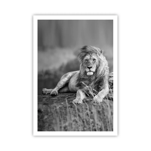 Plagát - Kráľovská siesta - 70x100 cm