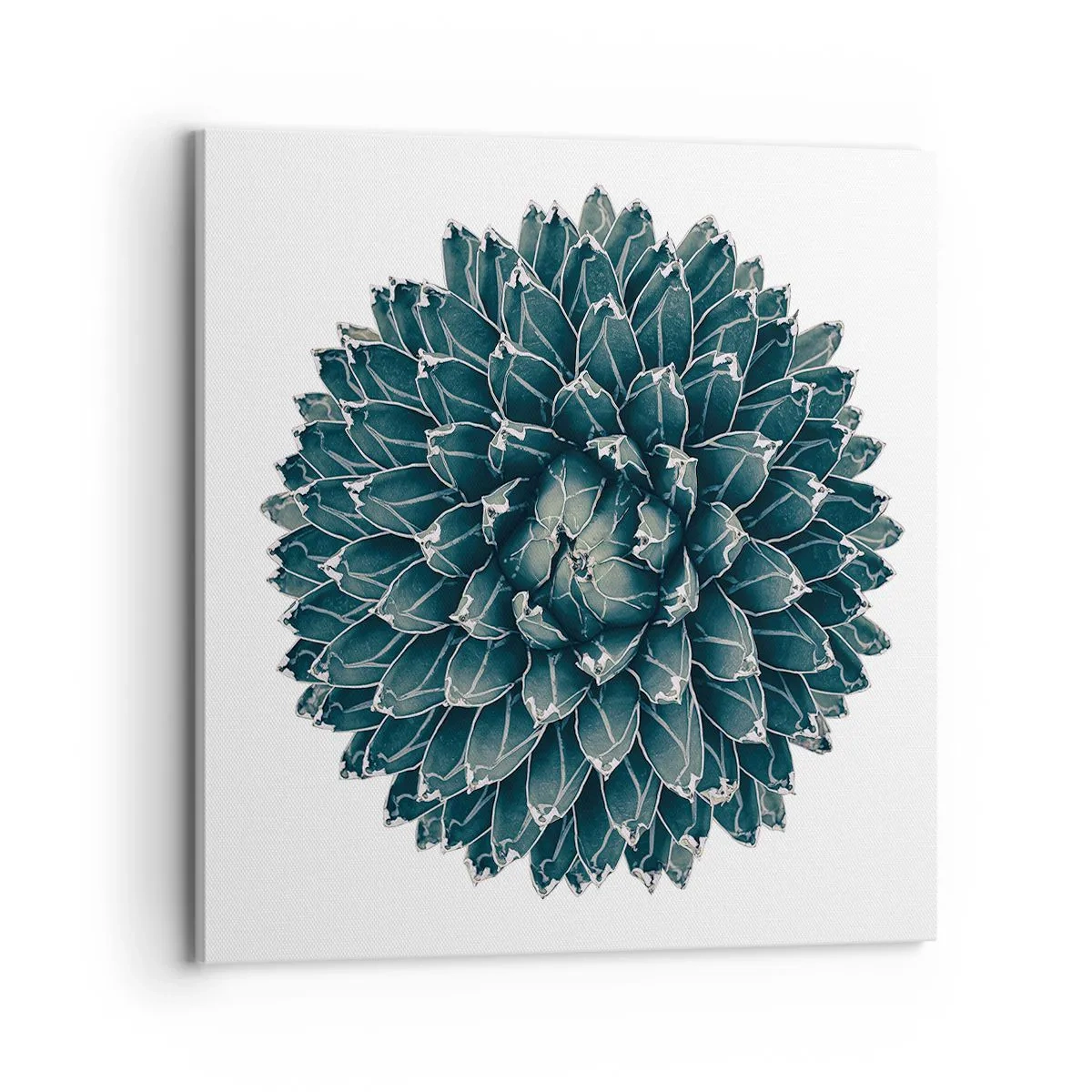 Obraz na plátne - Hviezda púšte - 70x70 cm