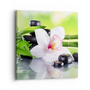 Obraz na plátne - Chladná sviežosť - 40x40 cm