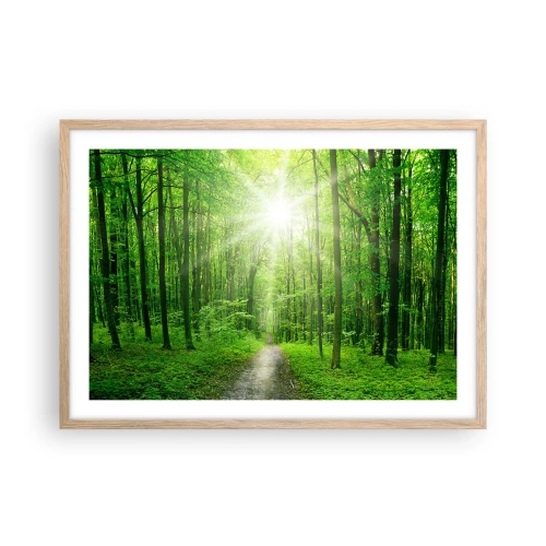 Plagát v ráme zo svetlého duba - Zelená katedrála - 70x50 cm