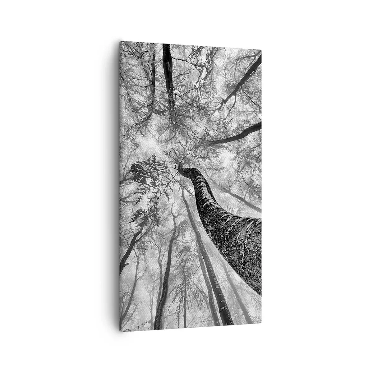 Obraz na plátne - Závod ku svetlu - 55x100 cm