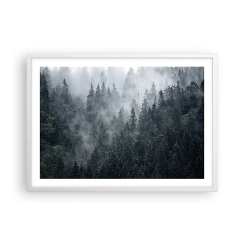 Plagát v bielom ráme - Lesné svitania - 70x50 cm