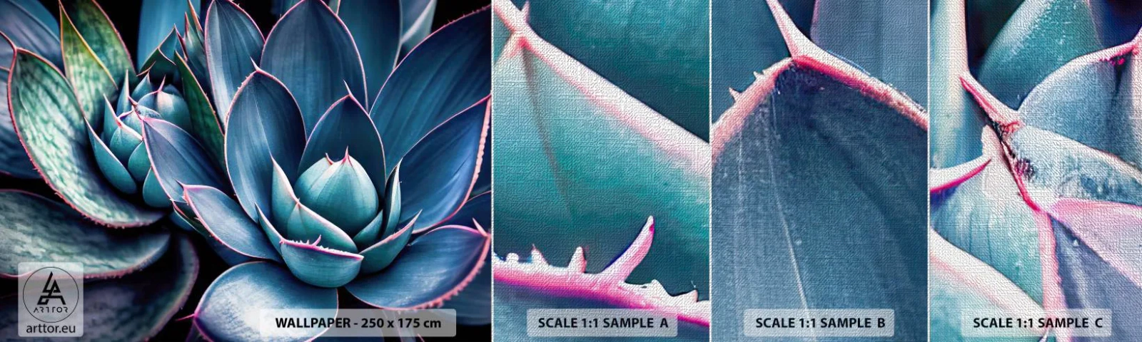 Vzorka fototapety Premium Canvas - Vitálna sila - Kvety, Botanika, Sukulenty - 100x30 cm