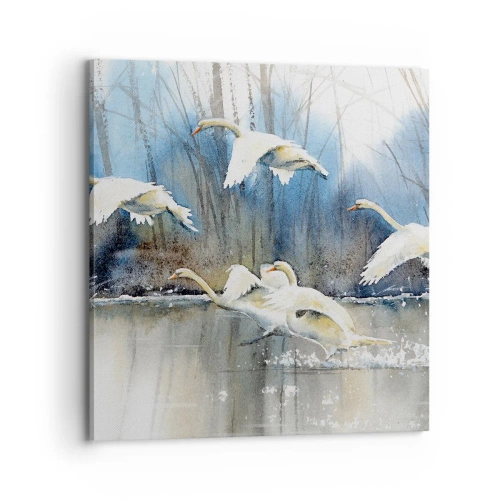 Obraz na plátne - Ako v poviedke o divokých labutiach - 70x70 cm