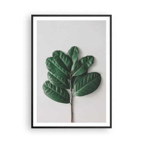 Plagát v čiernom ráme - Kresba samotnej prírody - 70x100 cm