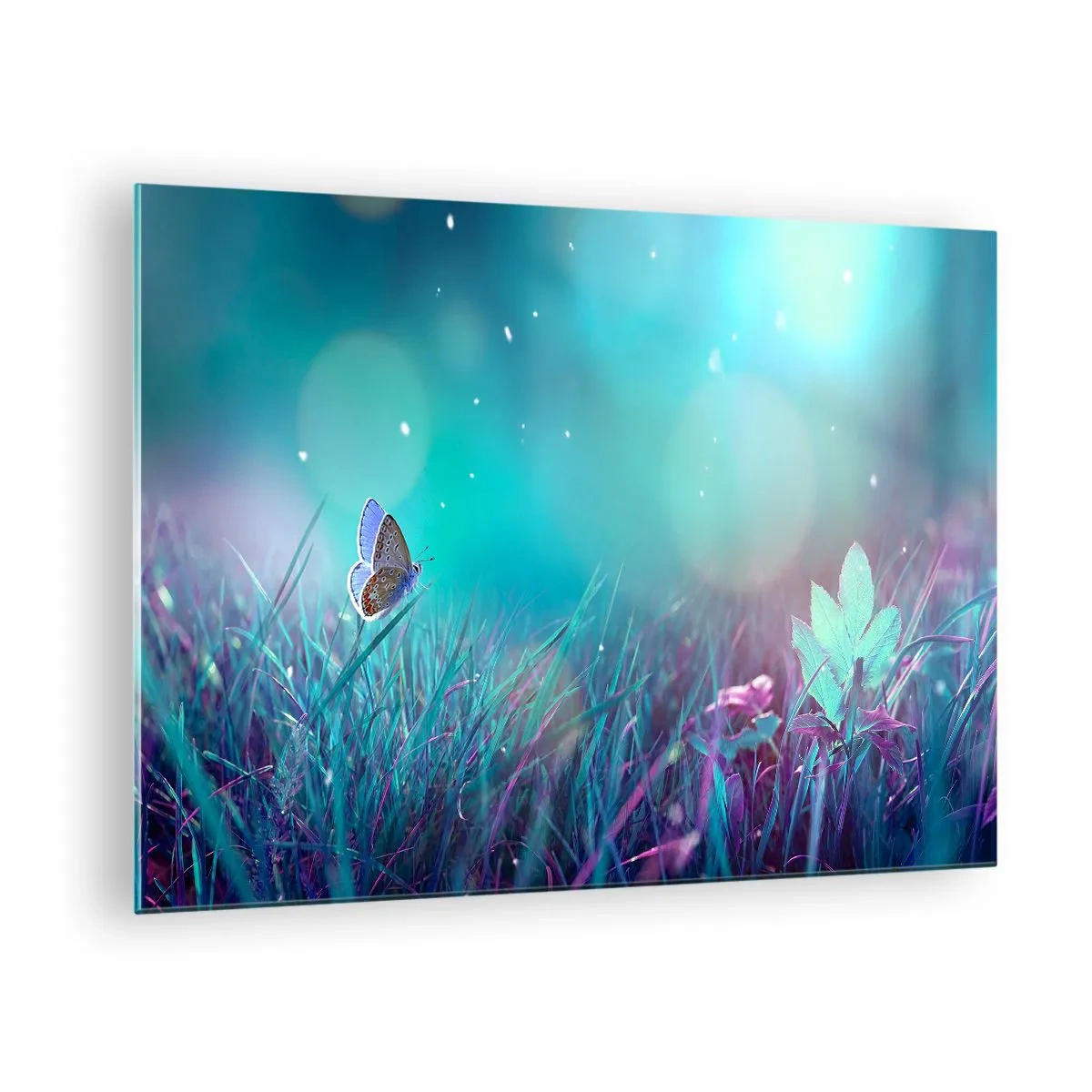 Obraz na skle - Motýľ na tráve v pastelovom svetle - 70x50cm - Tajomný život lúky - Moderná nástenná dekorácia do obývacej izby a spálne ARTTOR