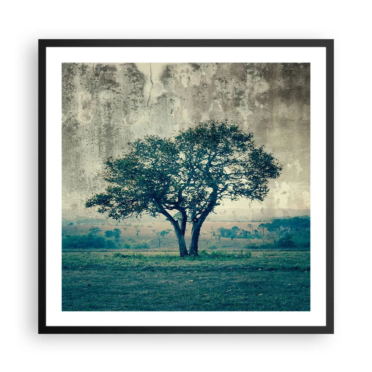 Plagát v čiernom ráme - Jabloň na modrom poli? - 60x60 cm