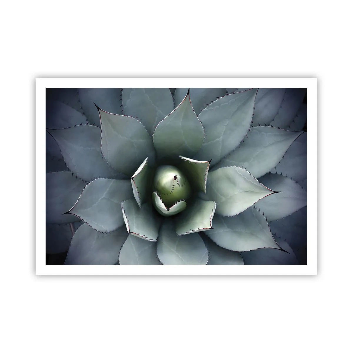 Plagát - Zvádza a varuje - 100x70 cm