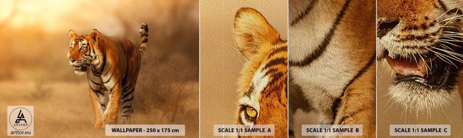 Vzorka fototapety Premium Sand - Pred útokom - Zvieratá, Tiger, Afriky - 100x30 cm