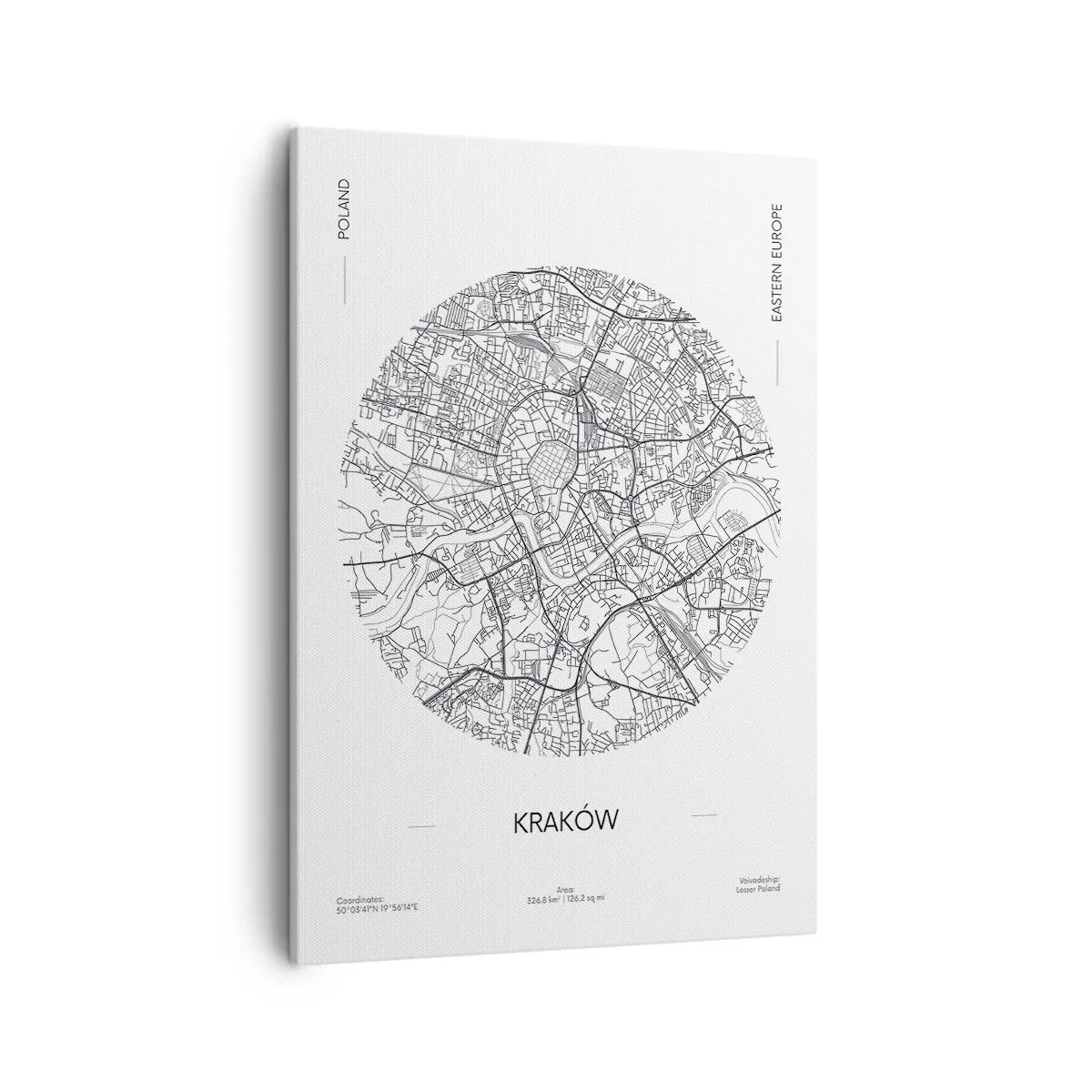 Obraz na plátne - Anatómia Krakova - 50x70 cm