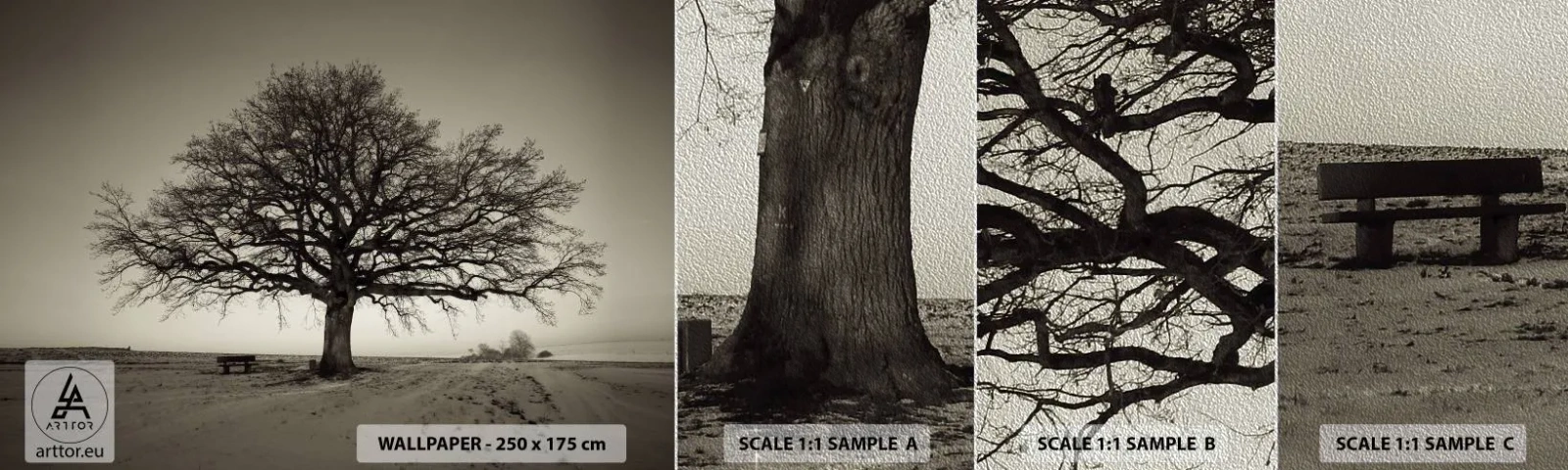 Vzorka fototapety Premium Sand - Odtiaľ až do večnosti - Krajina, Strom, Príroda - 100x30 cm