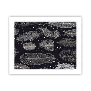 Plagát - Čipka s perím - 50x40 cm