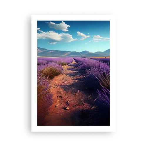 Plagát - Voňavé polia - 50x70 cm