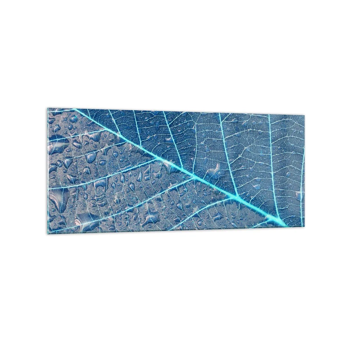 Obraz na skle - Modrý život - 120x50 cm