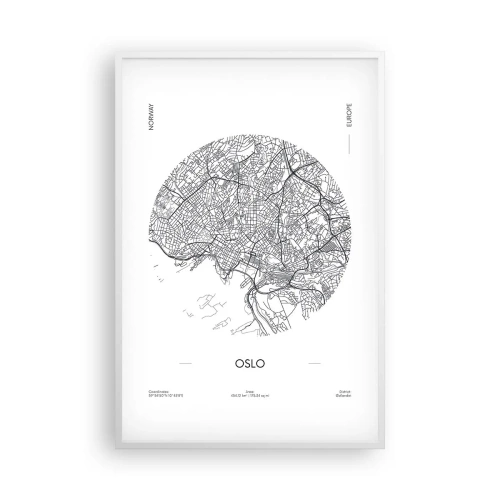 Plagát v bielom ráme - Anatómia Osla - 61x91 cm