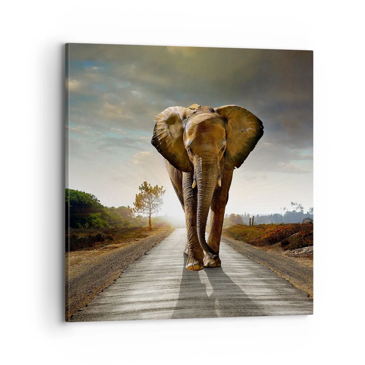 Obraz na plátne - A vôbec nie v sklade porcelánu - 70x70 cm