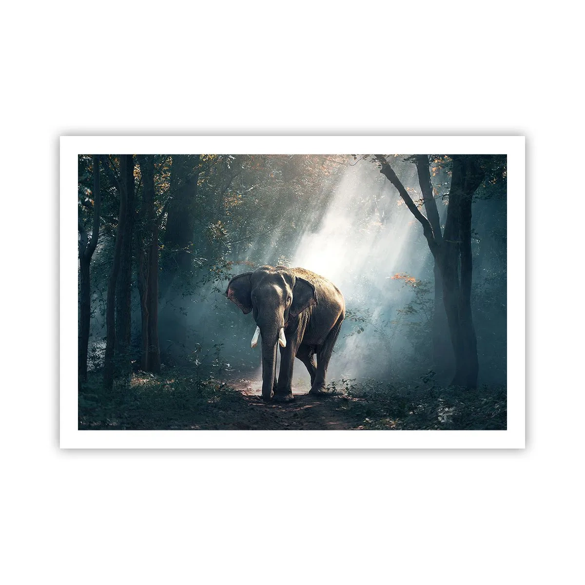 Plagát - Pokojná prechádzka - 91x61 cm