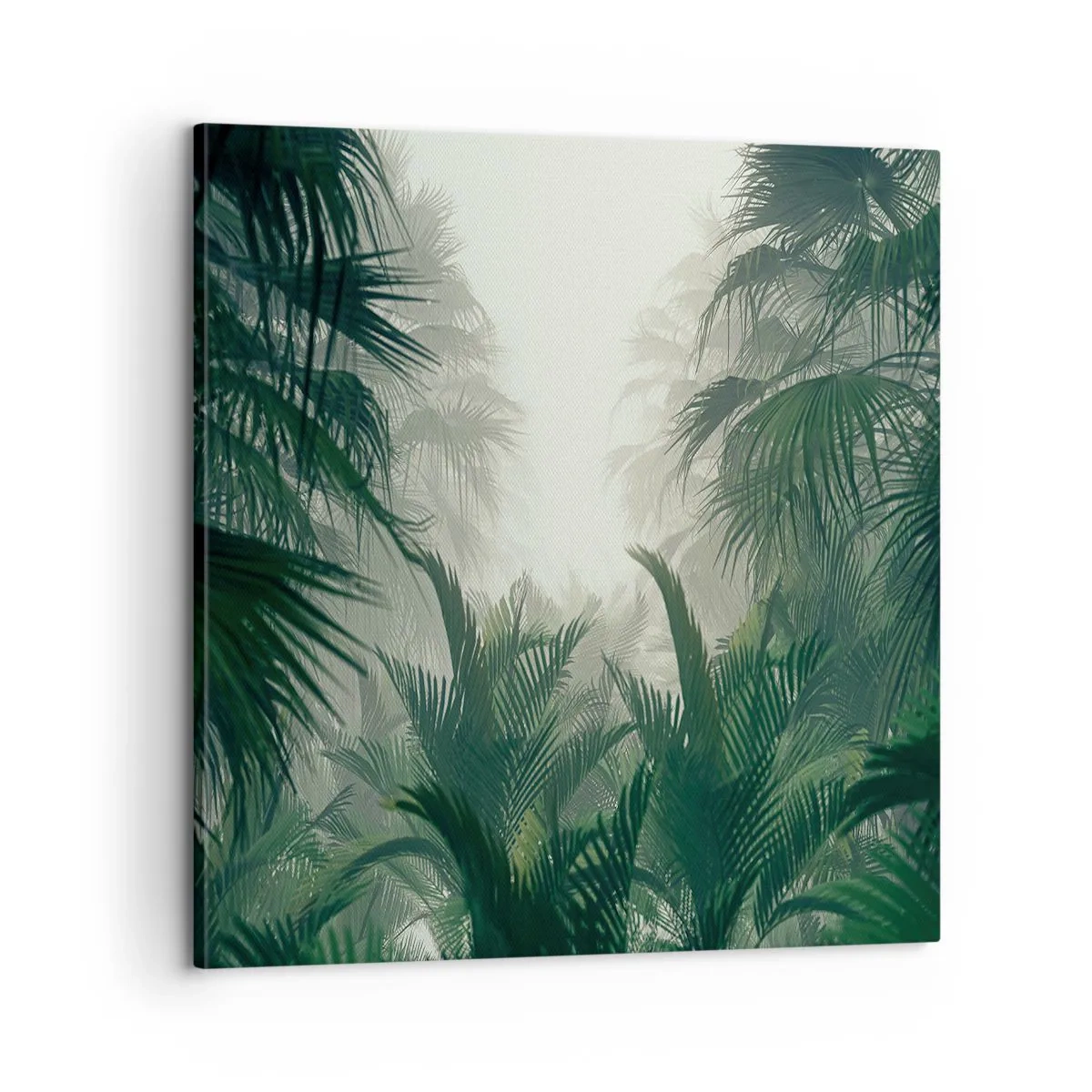 Obraz na plátne - Tropická záhada - 60x60 cm