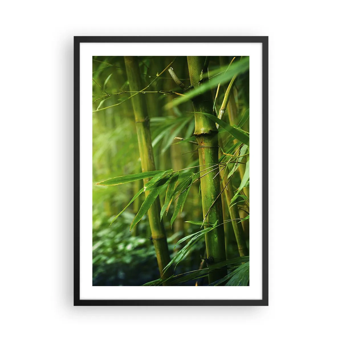 Plagát v čiernom ráme - Bambusový háj v odtieňoch zelenej - 50x70cm - Poznať samotnú zeleň - Moderná nástenná dekorácia do obývacej izby a spálne ARTTOR