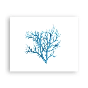 Plagát - Morský filigrán - 50x40 cm