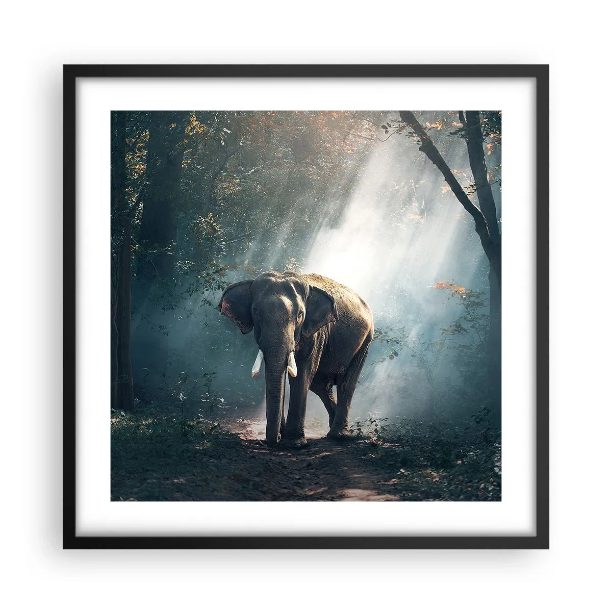 Plagát v čiernom ráme - Pokojná prechádzka - 50x50 cm