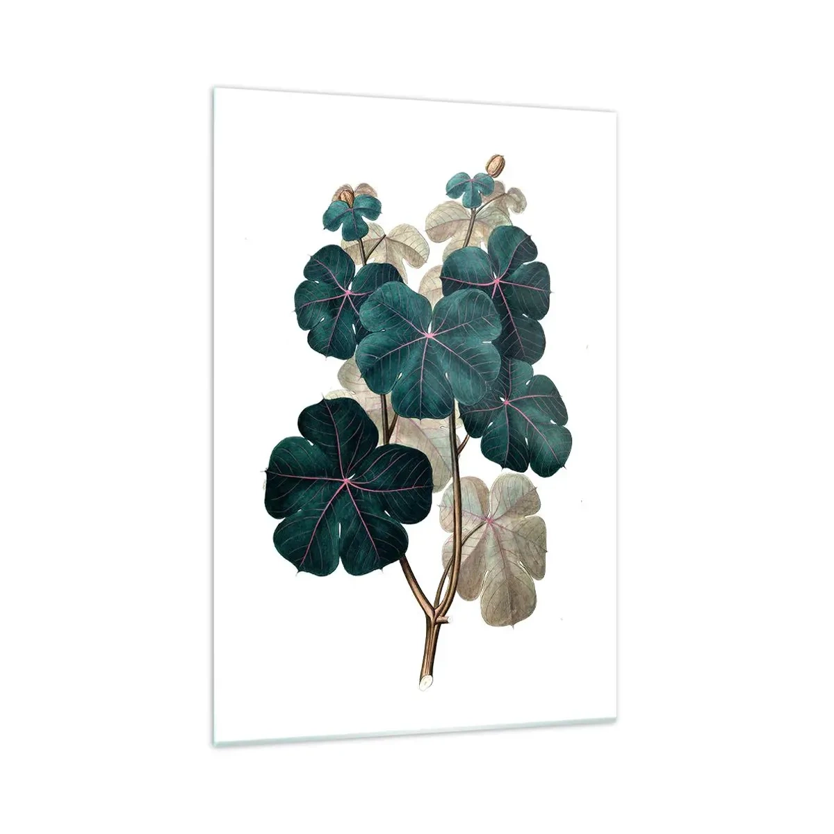 Obraz na skle - Zo starého herbára - 70x100 cm