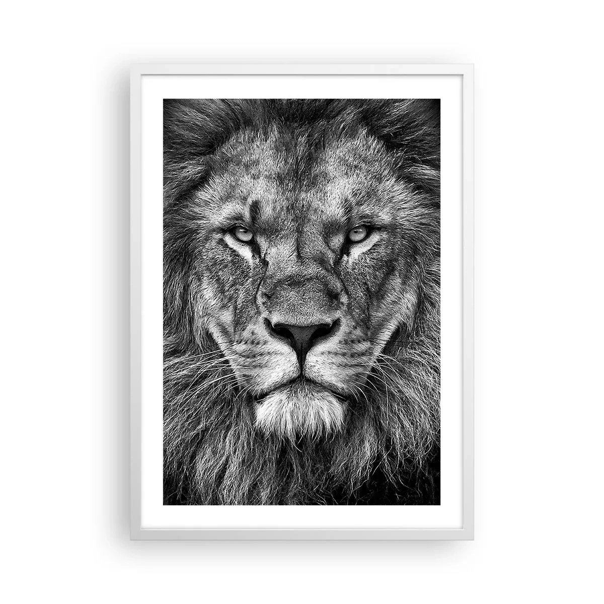 Plagát v bielom ráme - V korunovačnom odeve - 50x70 cm