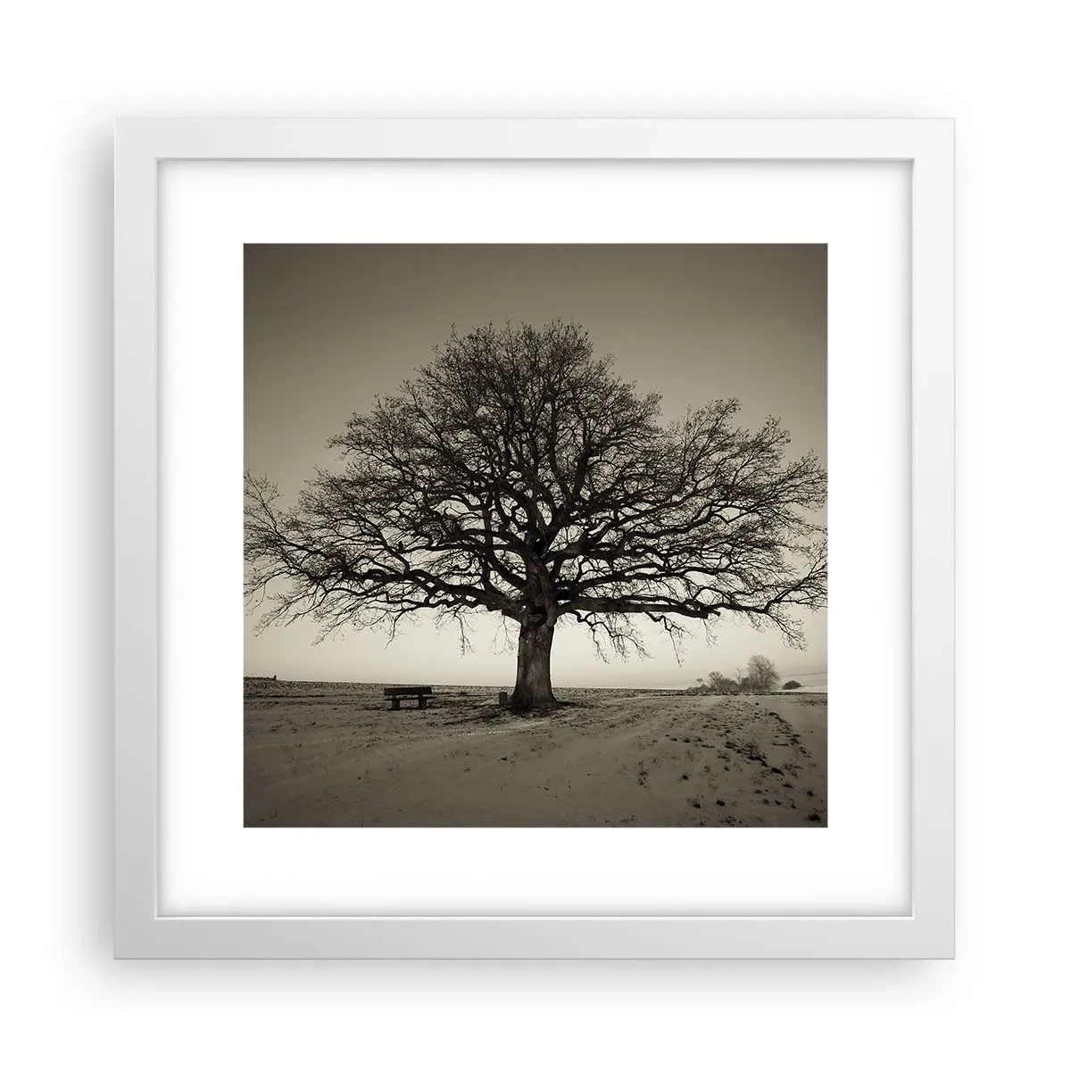 Plagát v bielom ráme - Odtiaľ až do večnosti - 30x30 cm