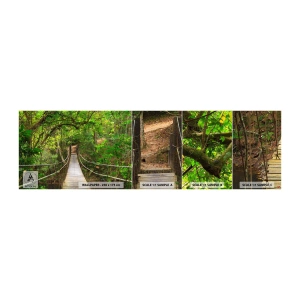 Vzorka samolepiacej fototapety Deluxe Sticker - Lebo na záhrade rastú popínavé rastliny - Krajina, les, Príroda - 100x30 cm