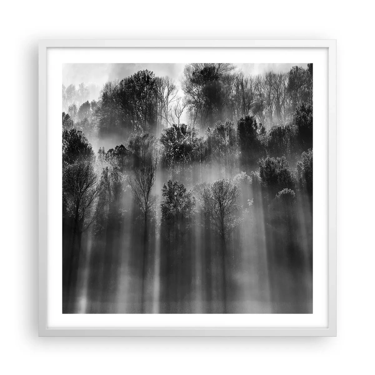 Plagát v bielom ráme - V lúčoch svetla - 60x60 cm