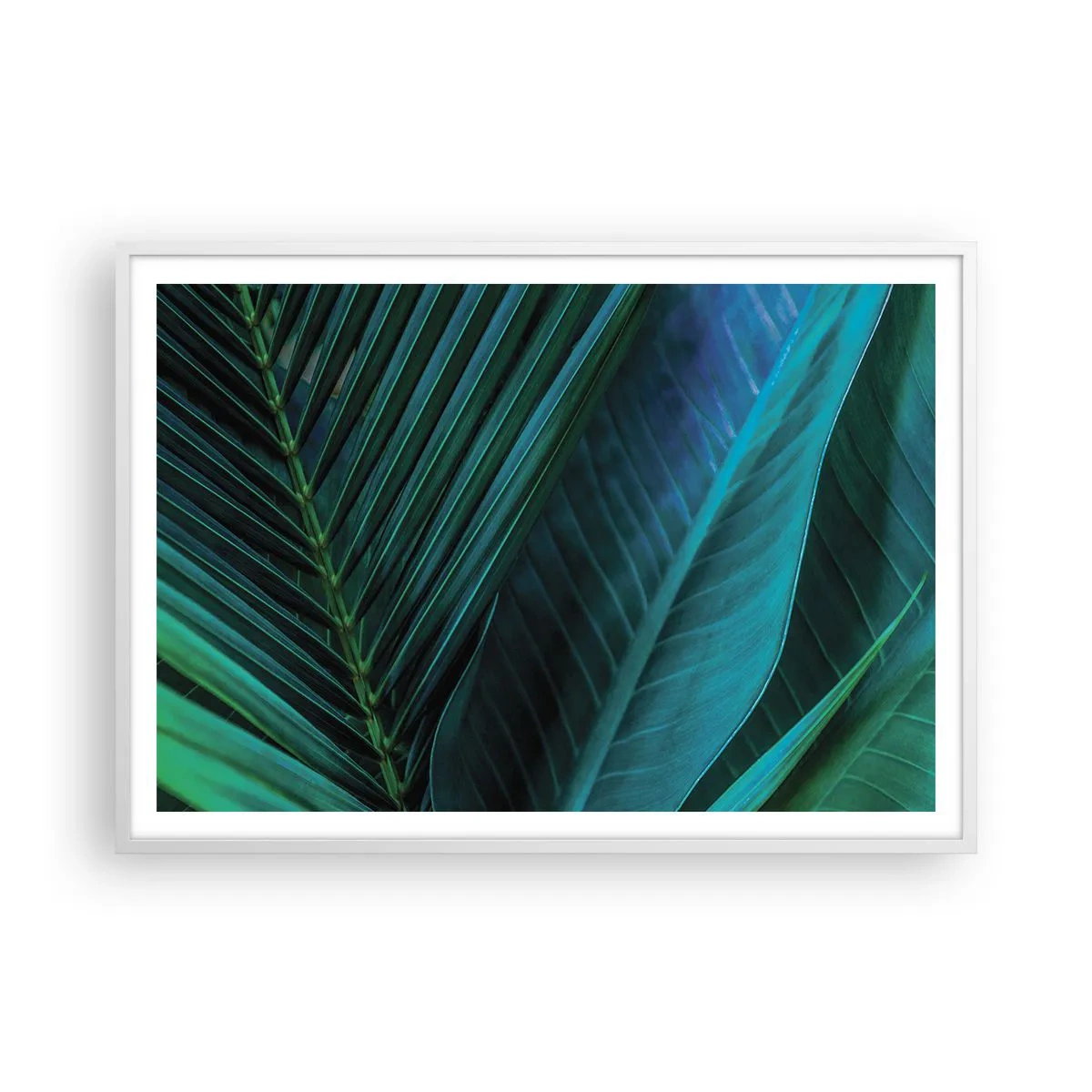 Plagát v bielom ráme - Anatómia zelene - 100x70 cm