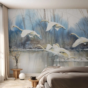 Fototapeta Standard Eco - Ako v poviedke o divokých labutiach - Labute, Vtáky, Krajina - 300x210 cm