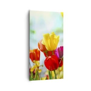 Obraz na plátne - Všetky farby slnka - 65x120 cm