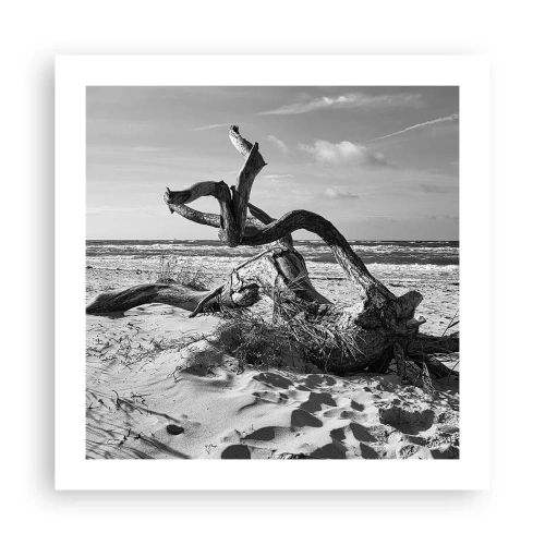 Plagát - Morská socha - 50x50 cm