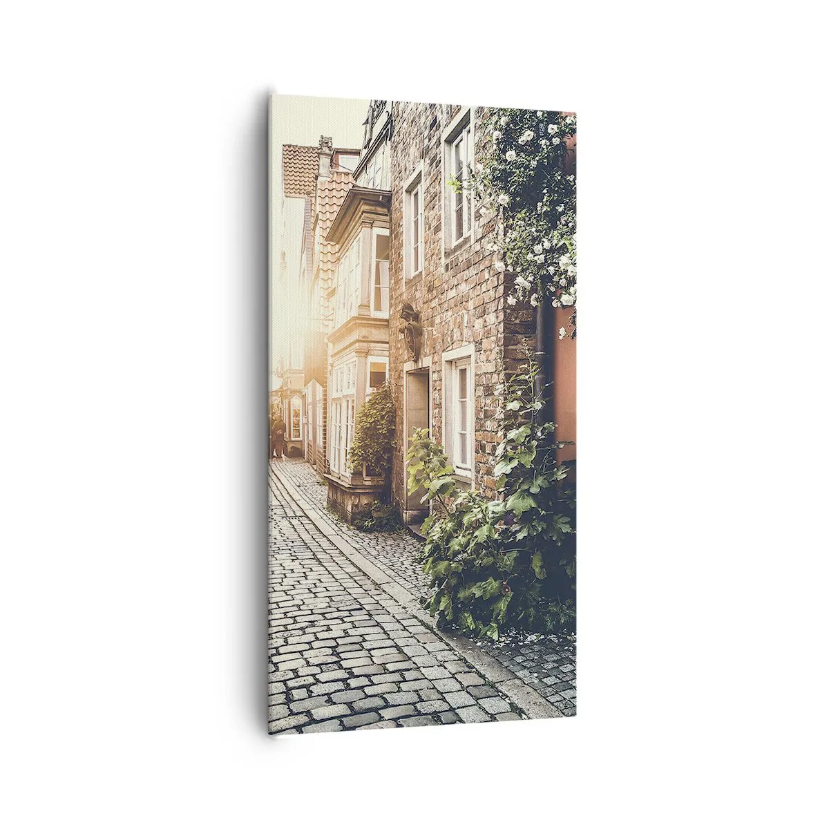 Obraz na plátne - Ružová ulička v ružovej žiare - 65x120 cm